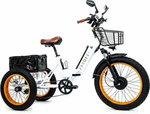 3SCORE Electric Fat Trike For Adults