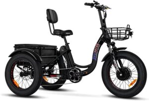 Addmotor Motan Electric Tricycle for Adults