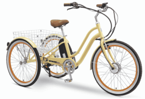 EVRY journey 250W Electric Tricycle