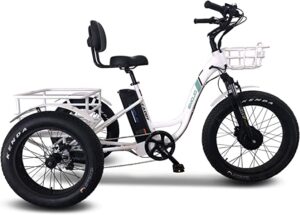 Emojo Fat Tire Electric Tricycle