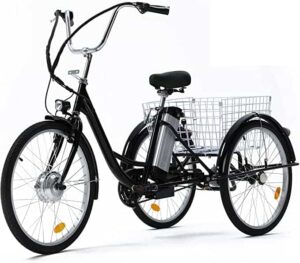 Viribus Wheel Electric Trike